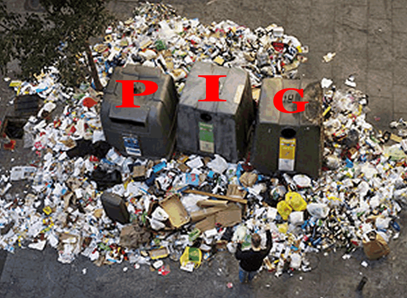 pig
