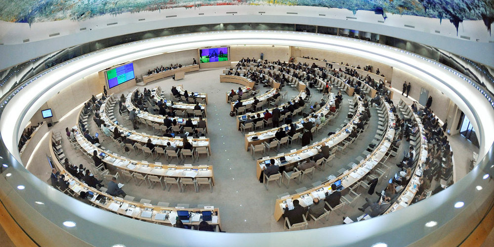 comite-direitos-humanos-nacoes-unidas-onu-plenario