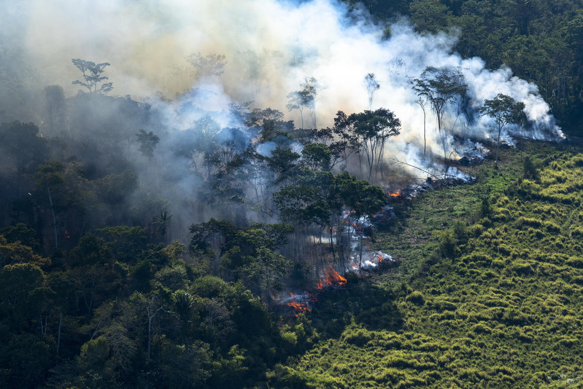 amazônia-queimadas