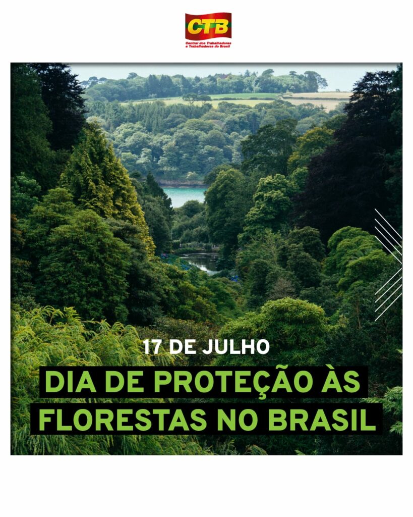 17 de Julho | Dia de Proteção às Florestas no Brasil