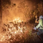 Brasil teve 11,39 milhões de hectares atingidos pelo fogo este ano