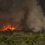 Incêndios podem ter afetado mais de 11 milhões de pessoas no Brasil