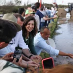 Após enchente, MST retoma o plantio de arroz agroecológico no RS com semeadura coletiva