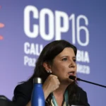 Na COP16, Colômbia sugere rede de organizações e Brasil desenha plano para cumprir metas de proteção ao meio ambiente